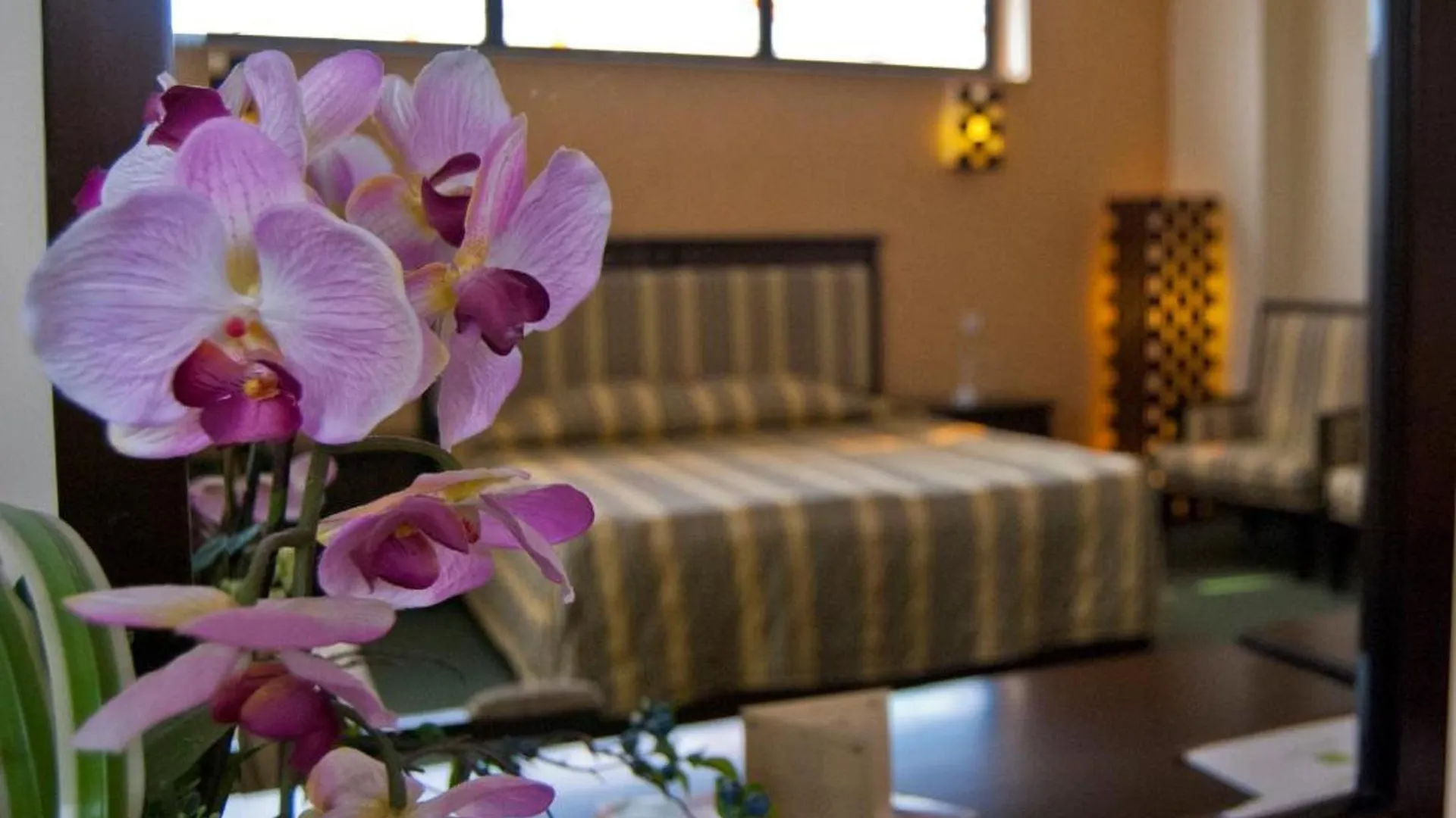 Hotel Tecadra Bucharest 4*,  Romania